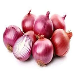 Fresh Onion – 1 Kg